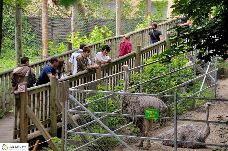 Állatparki fejlesztések sajtótájékoztató - fotó Szarka Lajos