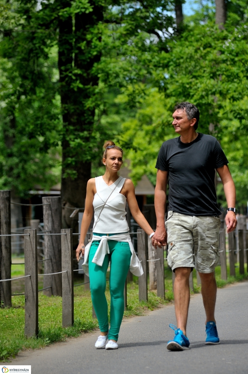 Állatparki fejlesztések sajtótájékoztató - fotó Szarka Lajos