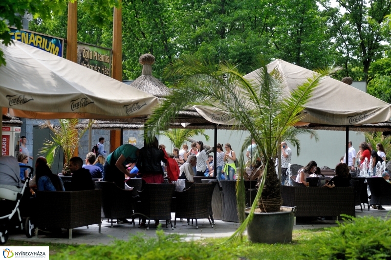 Állatparki fejlesztések sajtótájékoztató - fotó Szarka Lajos