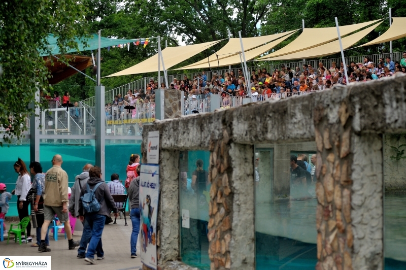 Állatparki fejlesztések sajtótájékoztató - fotó Szarka Lajos