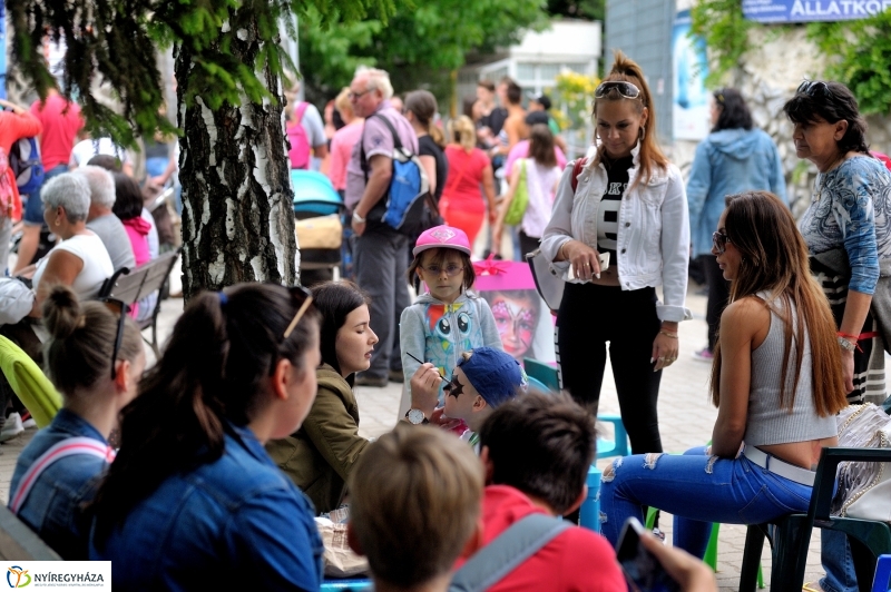 Állatparki fejlesztések sajtótájékoztató - fotó Szarka Lajos