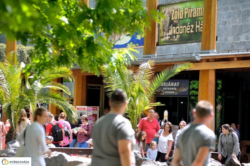 Állatparki fejlesztések sajtótájékoztató - fotó Szarka Lajos