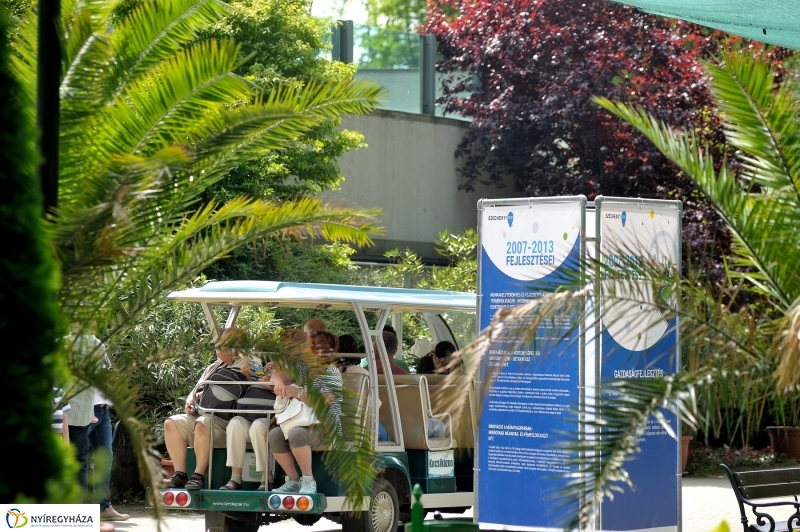 Állatparki fejlesztések sajtótájékoztató - fotó Szarka Lajos
