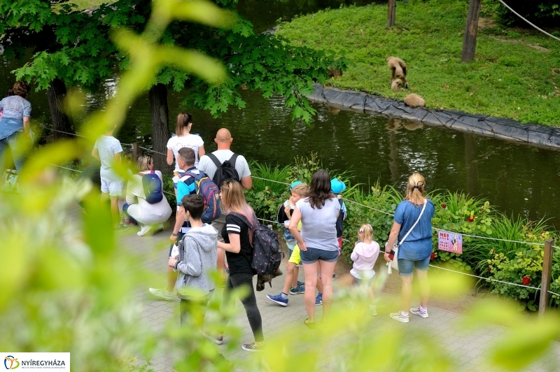 Állatparki fejlesztések sajtótájékoztató - fotó Szarka Lajos