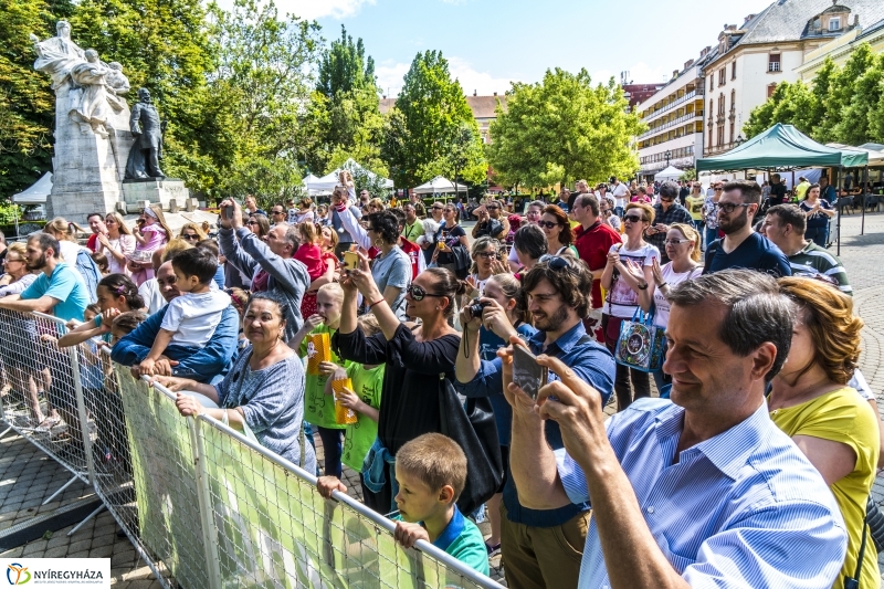 Szelektív Szombat 2017 - Programok és eredményhírdetés