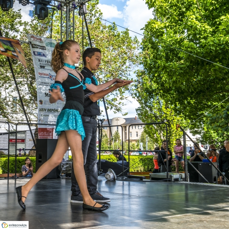 Szelektív Szombat 2017 - Programok és eredményhírdetés