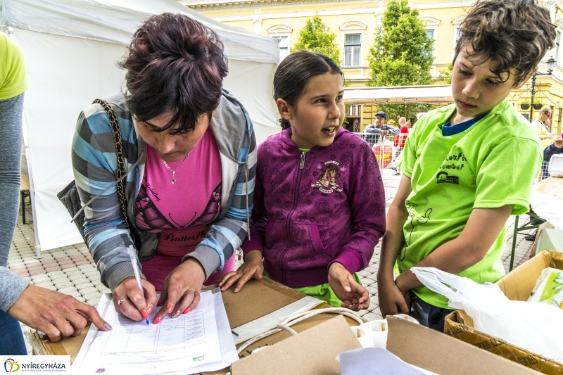 Szelektív Szombat 2017 - Programok és eredményhírdetés