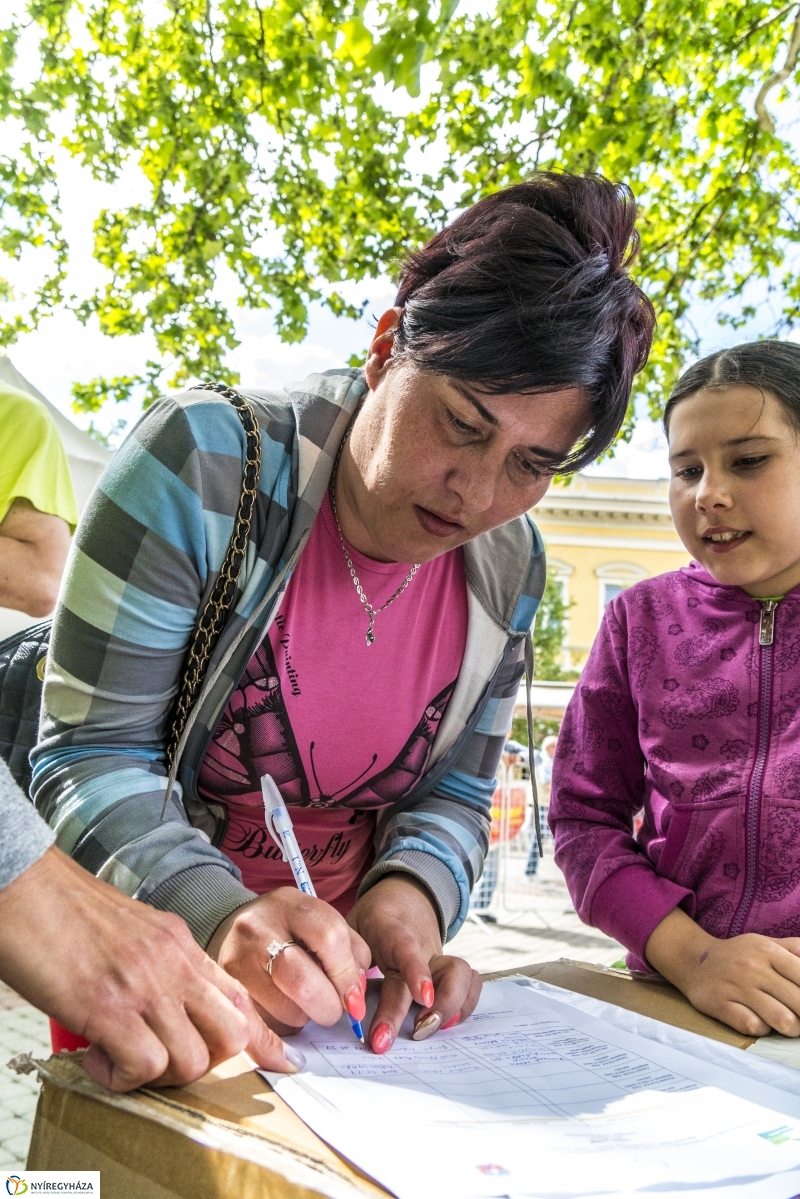 Szelektív Szombat 2017 - Programok és eredményhírdetés