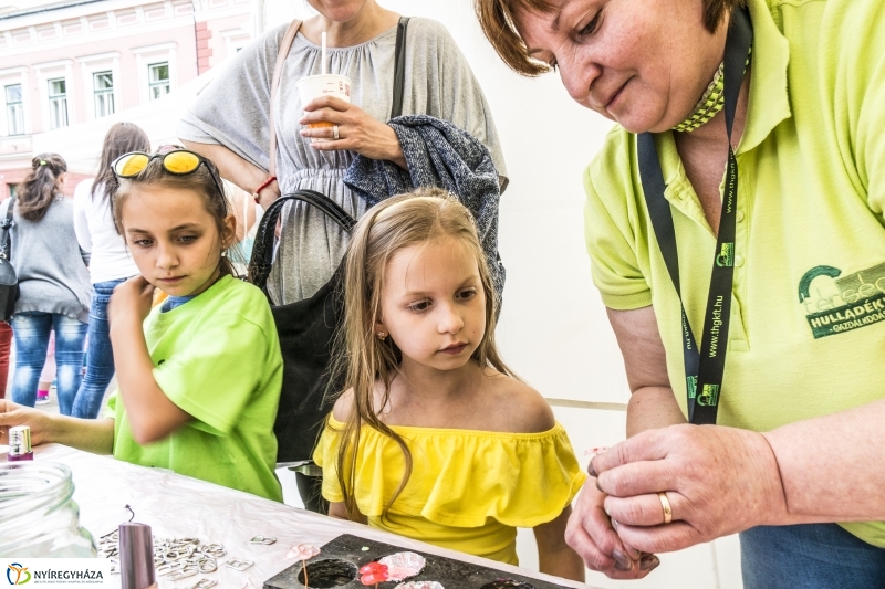 Szelektív Szombat 2017 - Programok és eredményhírdetés