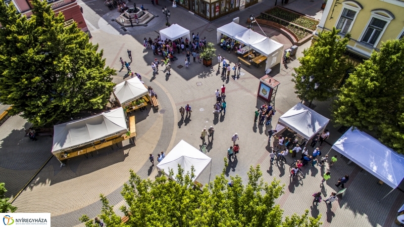 Szelektív Szombat 2017 - Programok és eredményhírdetés