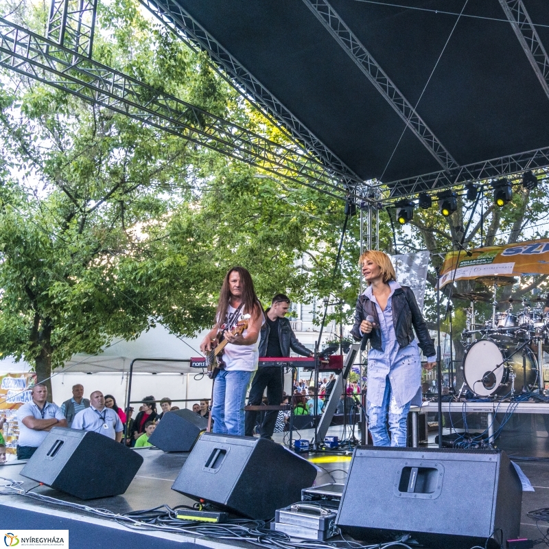 Keresztes Ildikó koncert a Szelektív Szombaton