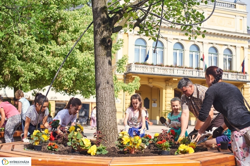 Virágültetés a Petőfi iskolás diákokkal - fotó Szarka Lajos
