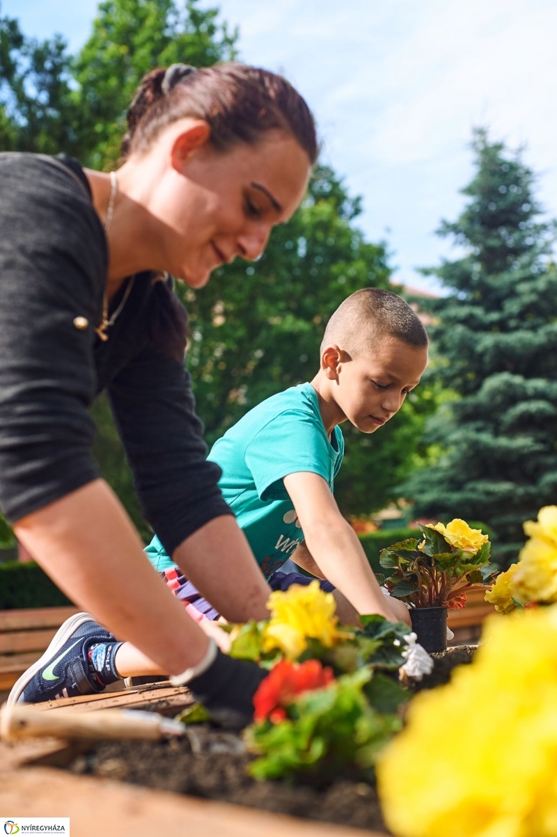 Virágültetés a Petőfi iskolás diákokkal - fotó Szarka Lajos