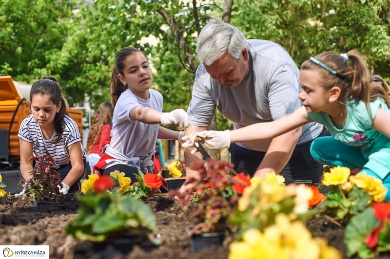 Virágültetés a Petőfi iskolás diákokkal - fotó Szarka Lajos
