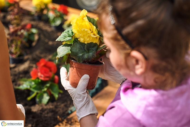 Virágültetés a Petőfi iskolás diákokkal - fotó Szarka Lajos