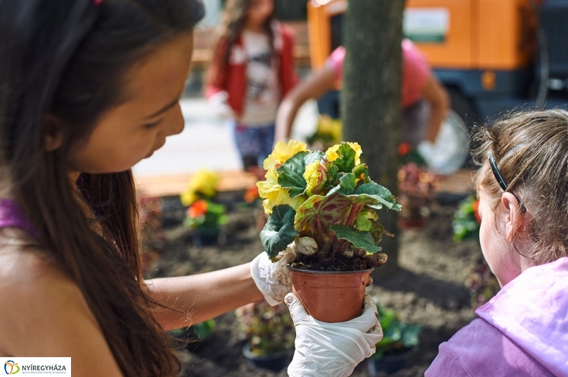 Virágültetés a Petőfi iskolás diákokkal - fotó Szarka Lajos