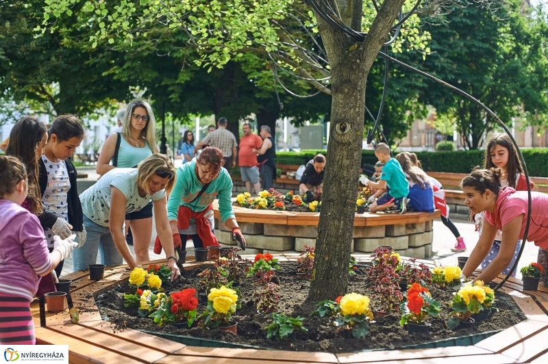 Virágültetés a Petőfi iskolás diákokkal - fotó Szarka Lajos
