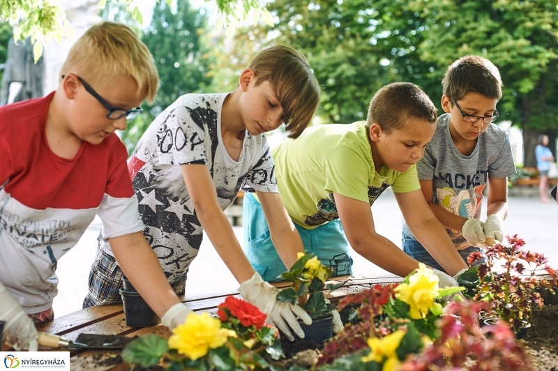 Virágültetés a Petőfi iskolás diákokkal - fotó Szarka Lajos