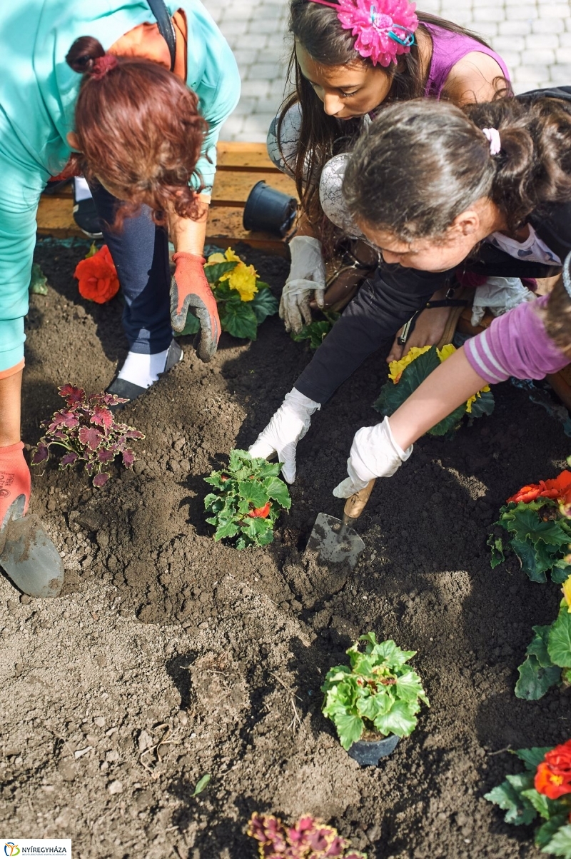 Virágültetés a Petőfi iskolás diákokkal - fotó Szarka Lajos