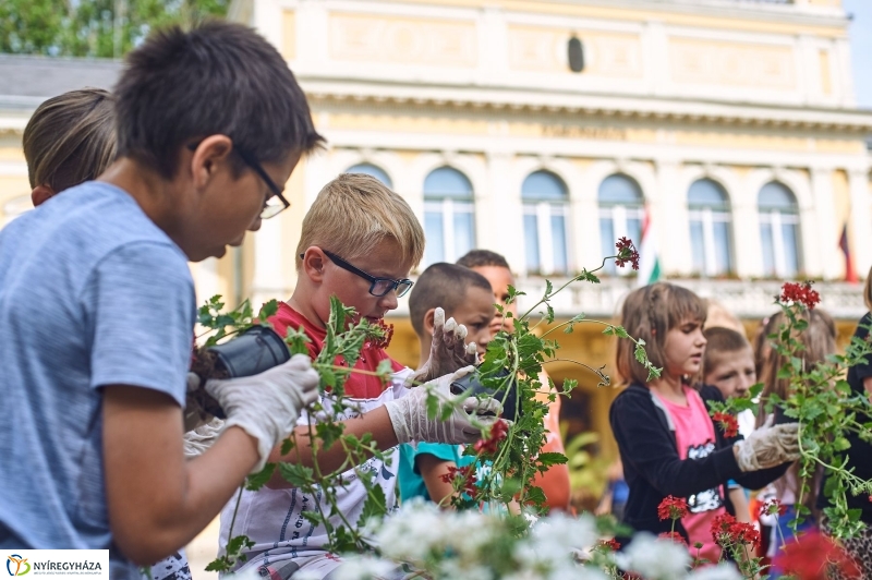 Virágültetés a Petőfi iskolás diákokkal - fotó Szarka Lajos
