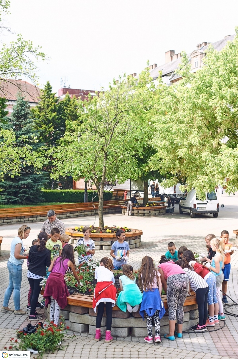 Virágültetés a Petőfi iskolás diákokkal - fotó Szarka Lajos