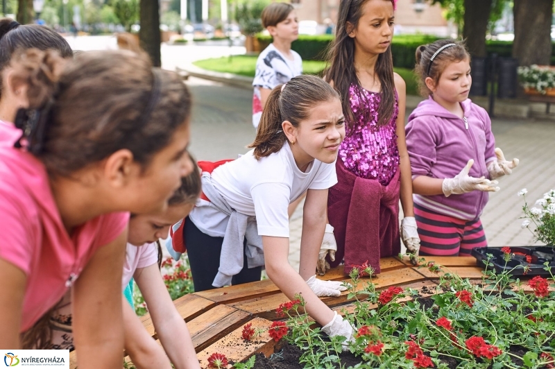 Virágültetés a Petőfi iskolás diákokkal - fotó Szarka Lajos
