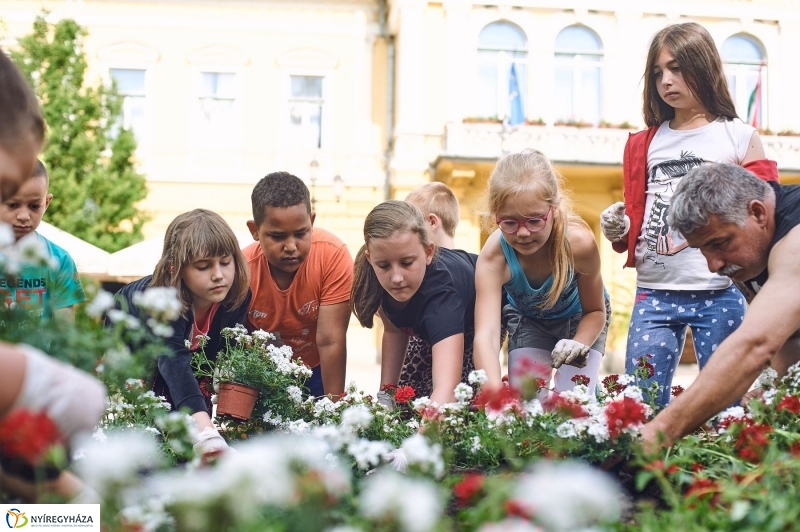 Virágültetés a Petőfi iskolás diákokkal - fotó Szarka Lajos