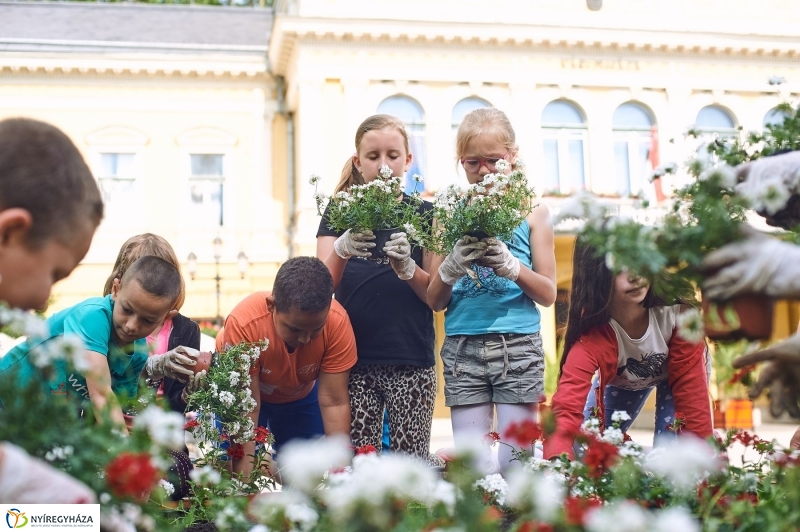 Virágültetés a Petőfi iskolás diákokkal - fotó Szarka Lajos