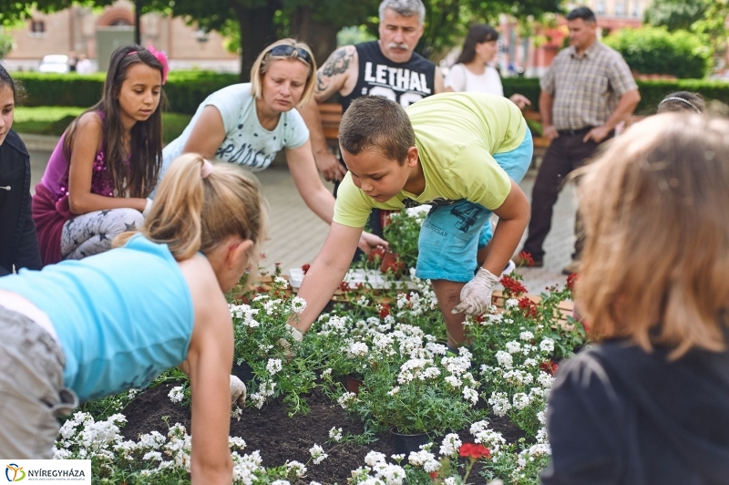 Virágültetés a Petőfi iskolás diákokkal - fotó Szarka Lajos
