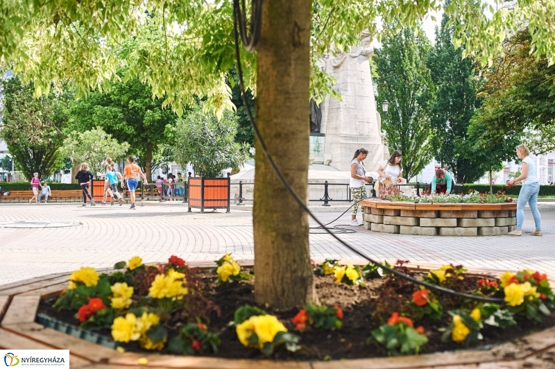 Virágültetés a Petőfi iskolás diákokkal - fotó Szarka Lajos