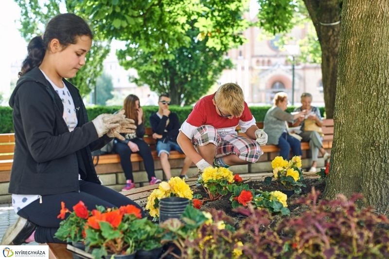 Virágültetés a Petőfi iskolás diákokkal - fotó Szarka Lajos