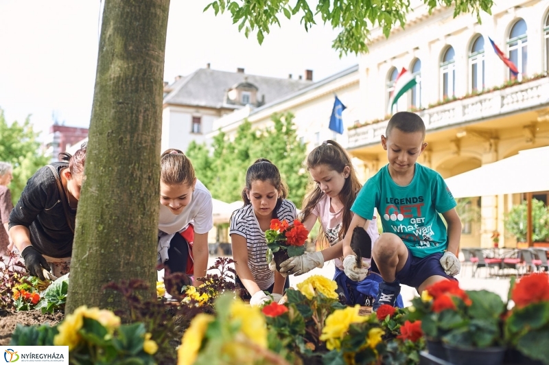 Virágültetés a Petőfi iskolás diákokkal - fotó Szarka Lajos