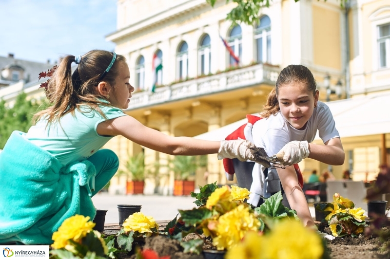 Virágültetés a Petőfi iskolás diákokkal - fotó Szarka Lajos