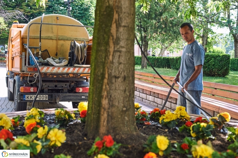 Belváros szépítés - fotó Szarka Lajos