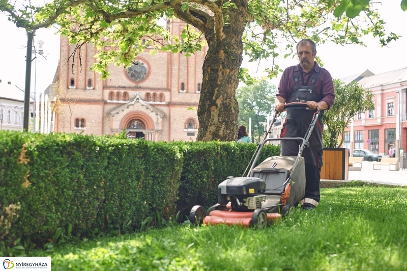 Belváros szépítés - fotó Szarka Lajos