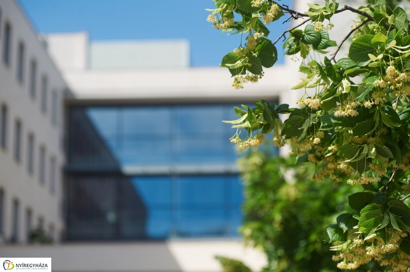 Rektor választás az egyetemen - fotó Szarka Lajos