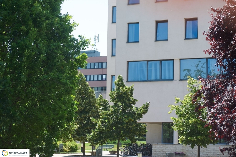 Rektor választás az egyetemen - fotó Szarka Lajos