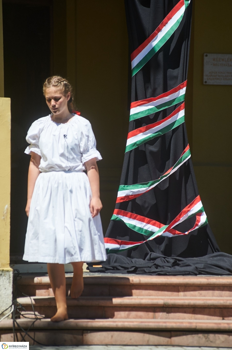 Nemzeti Összetartozás Napja - fotó Szarka Lajos