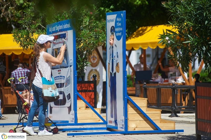 Vagyonvédelmi Nap 2017 - fotó Szarka Lajos