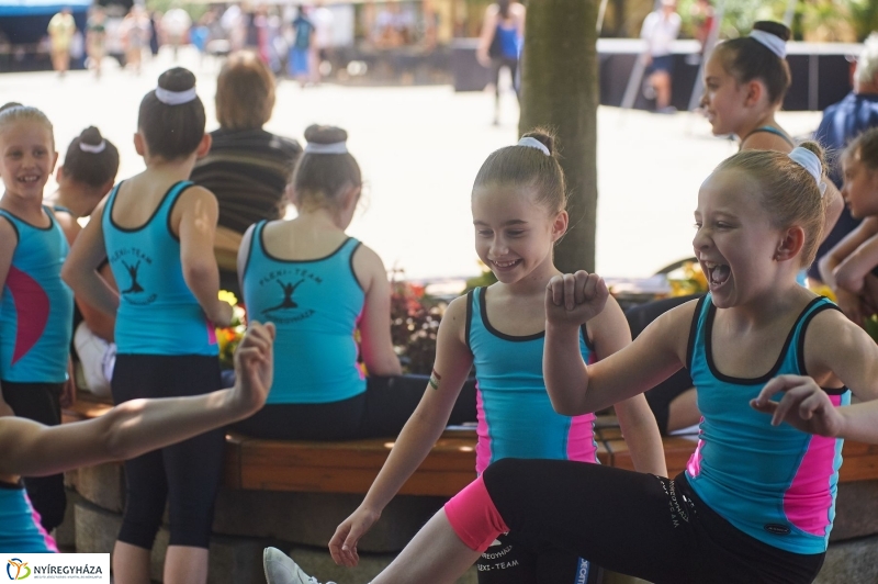 Vagyonvédelmi Nap 2017 - fotó Szarka Lajos