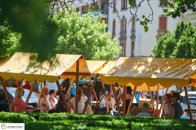 Vagyonvédelmi Nap 2017 - fotó Szarka Lajos