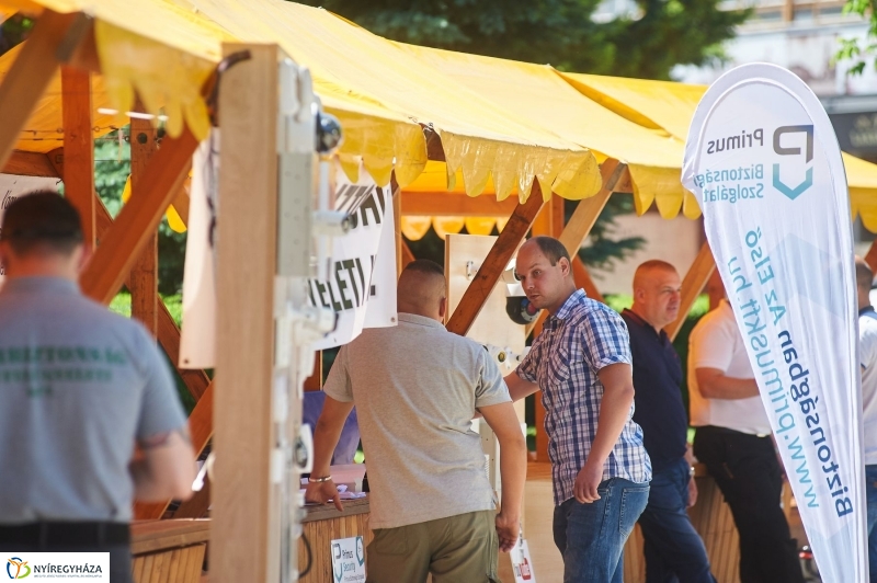 Vagyonvédelmi Nap 2017 - fotó Szarka Lajos