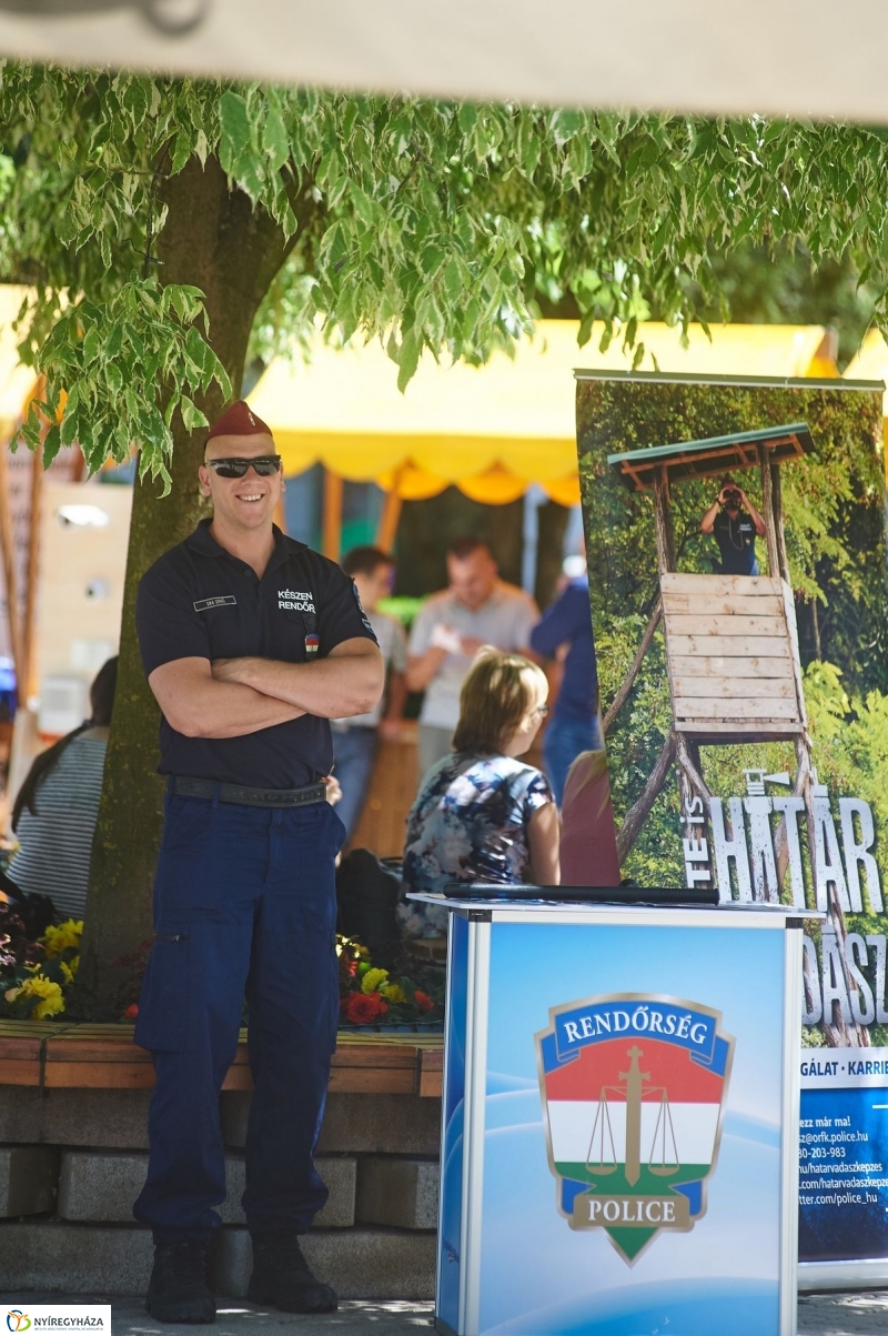 Vagyonvédelmi Nap 2017 - fotó Szarka Lajos