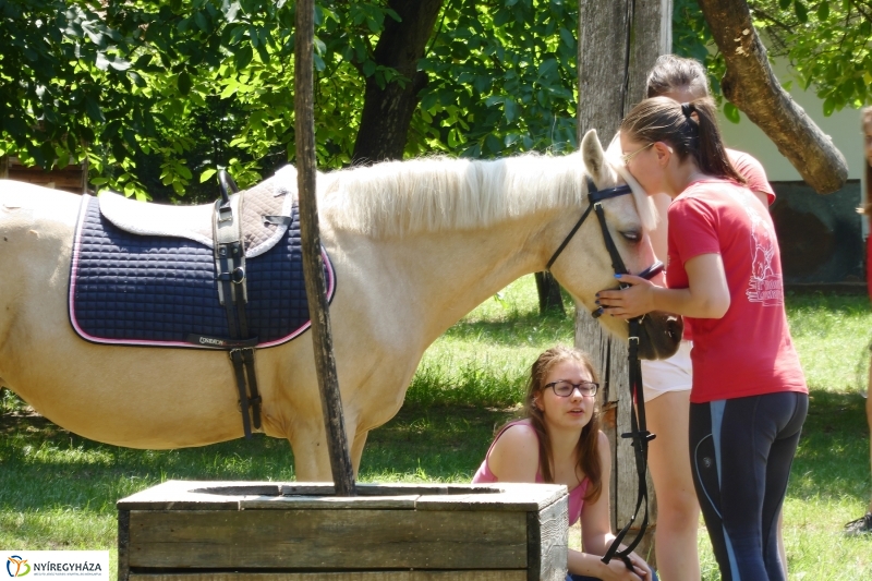 Pünkösd a múzeumfaluban 2017 - fotó Szarka Lajos