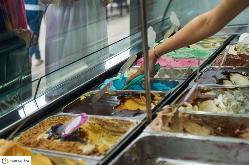 Gyereknapi fagyi a Bárczysokkal - fotó Szarka Lajos