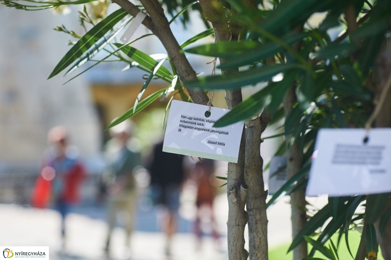 88. Ünnepi Könyvhét Nyíregyházán - fotó Szarka Lajos