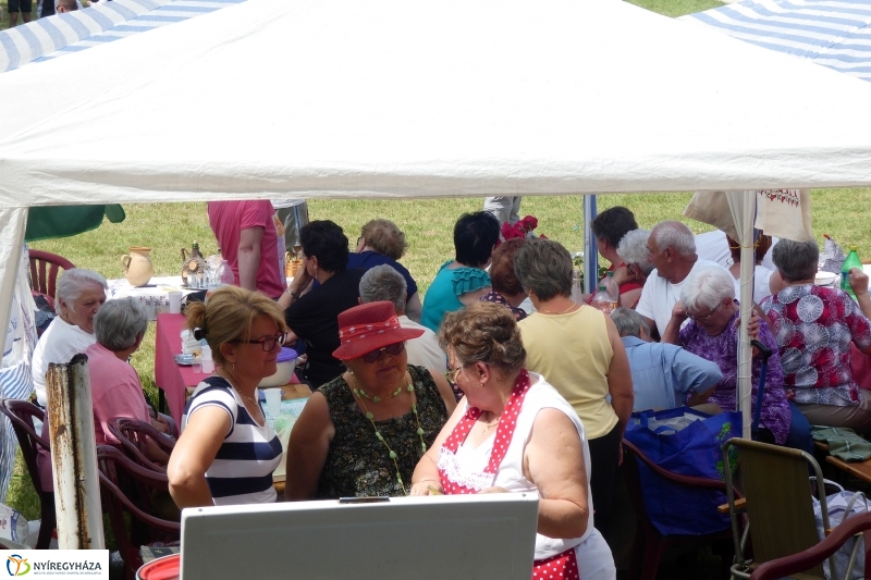 Fakanál Fesztivál 2017 - fotó Szarka Lajos