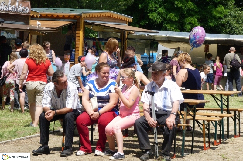 Fakanál Fesztivál 2017 - fotó Szarka Lajos