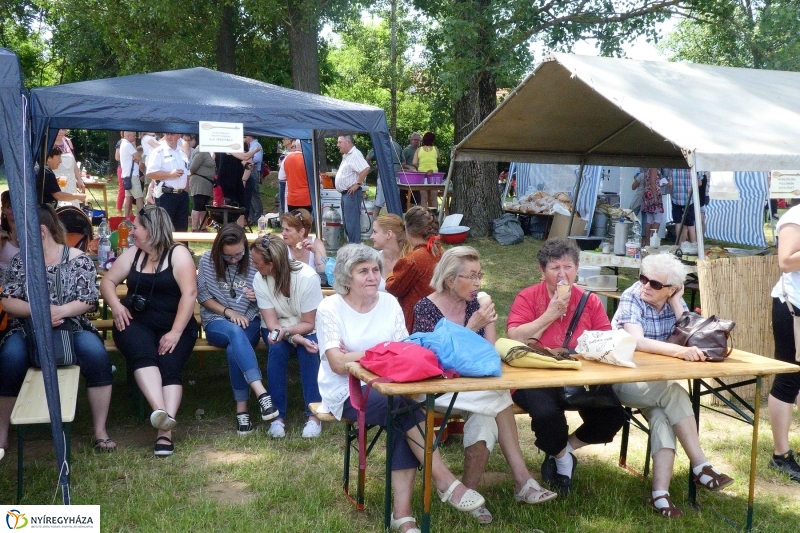 Fakanál Fesztivál 2017 - fotó Szarka Lajos