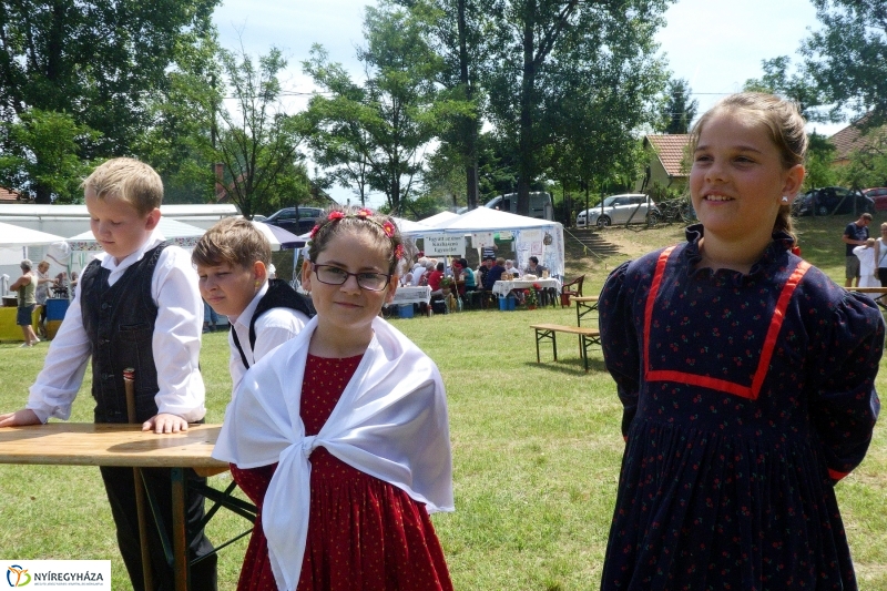 Fakanál Fesztivál 2017 - fotó Szarka Lajos